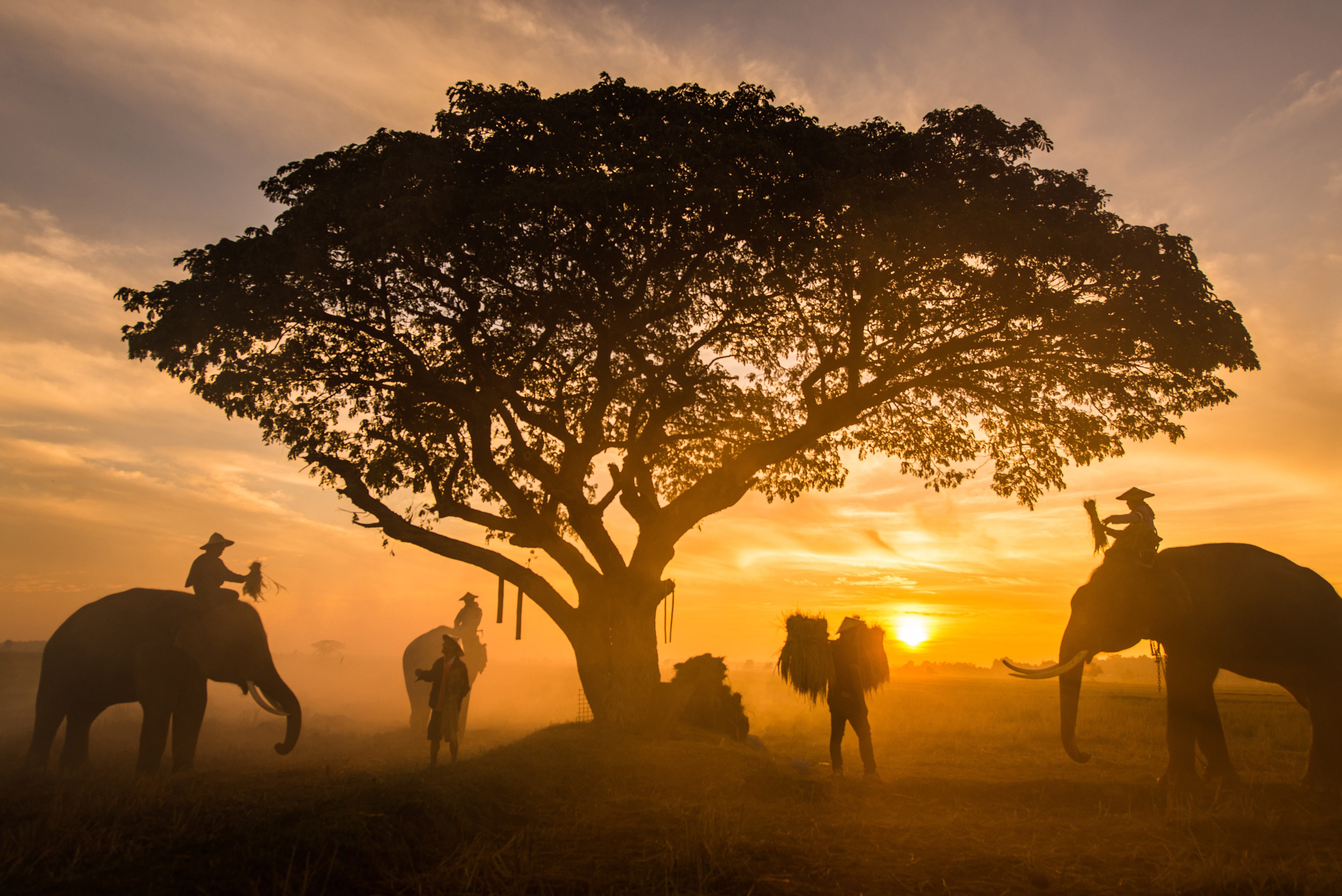 travel